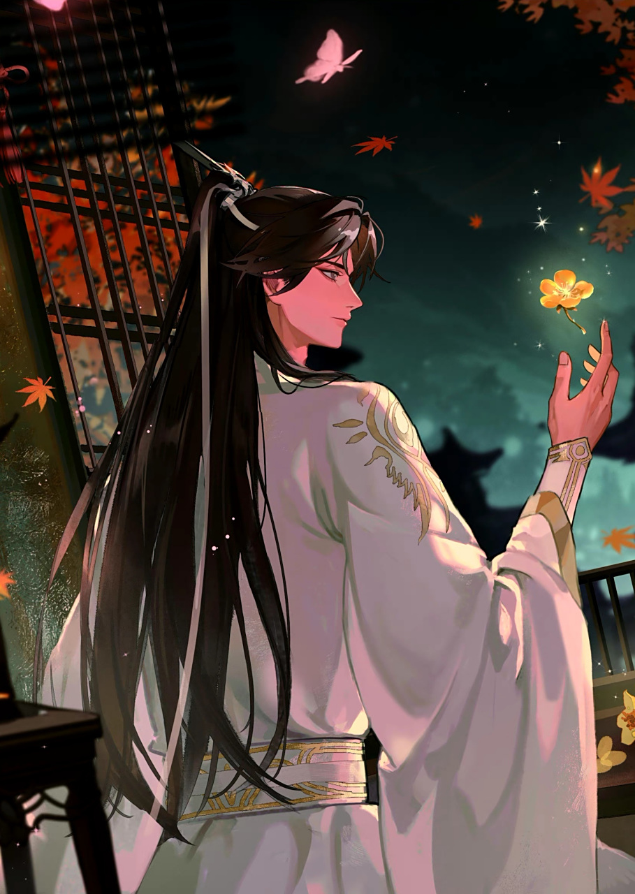 二哈实体书海报,晚宁凝花