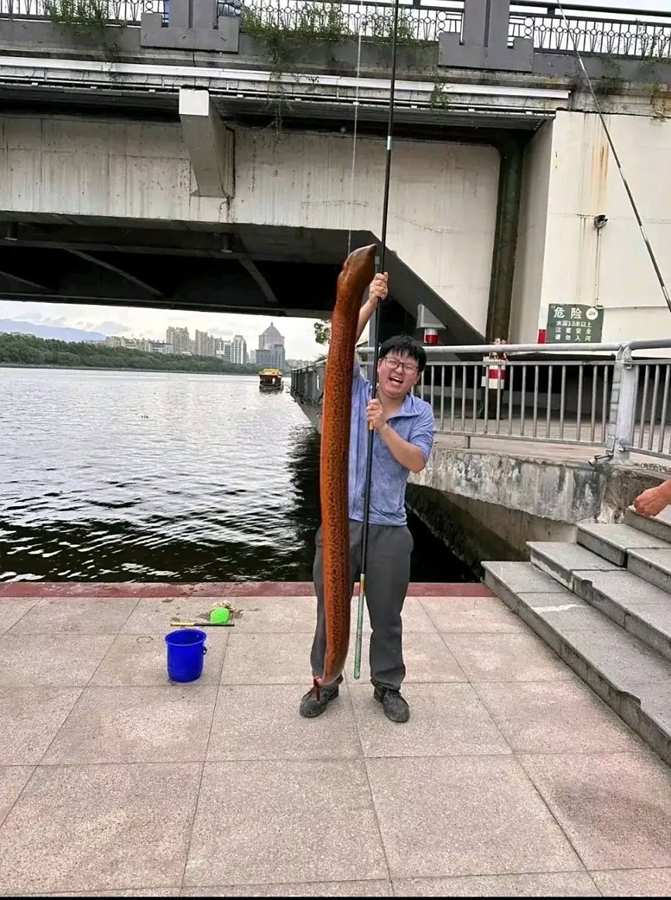 黄鳝鱼是一种常见的淡水鱼类,其体型细长,呈棕色或黑褐色.