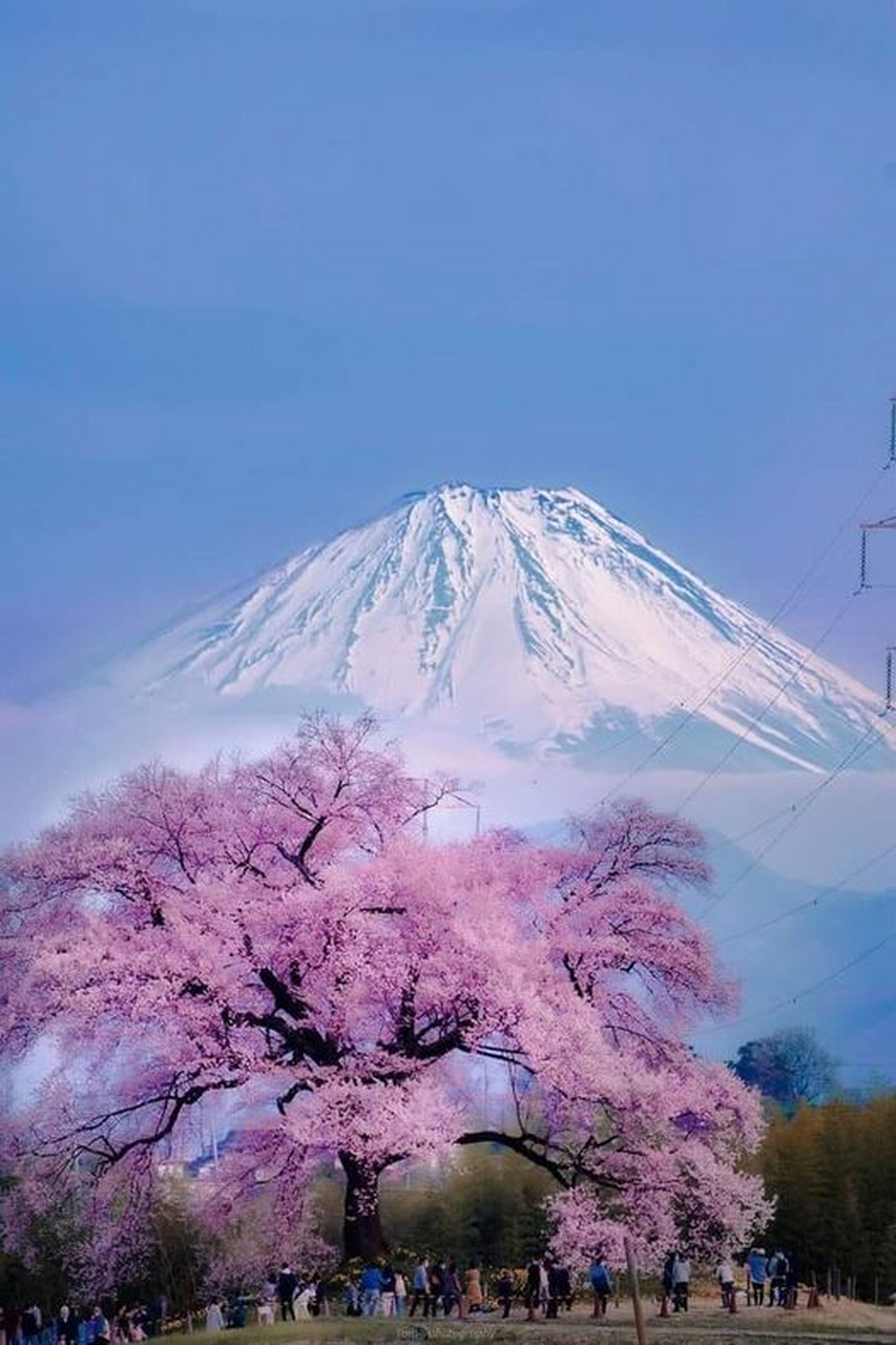 富士山壁纸高清 手机图片