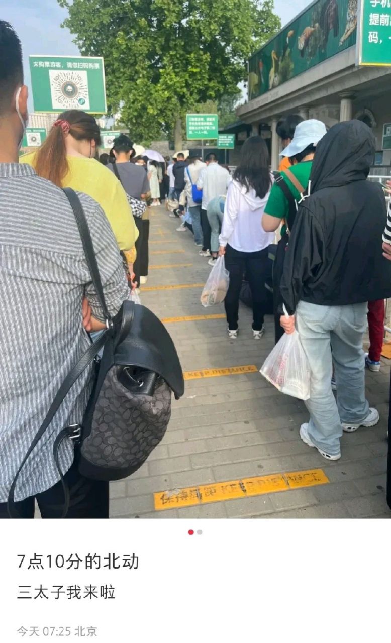 大爷躺的丫丫,你要笑发财我[捂脸],回到新环境,丫宝好像一点也不害怕