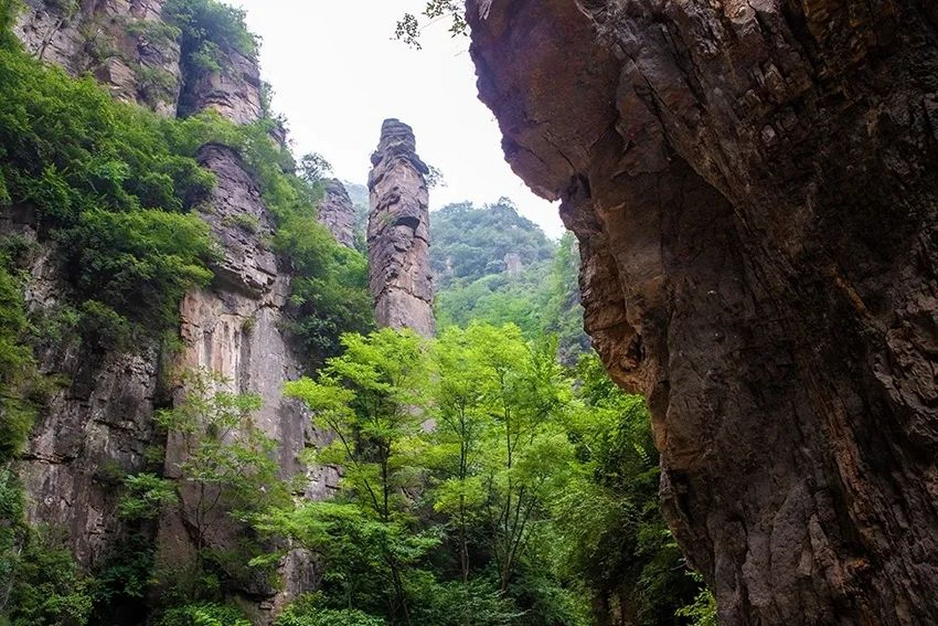 乐享周末分享吧# 白泉村位于河南省林州市临淇镇南端深山区,属太行