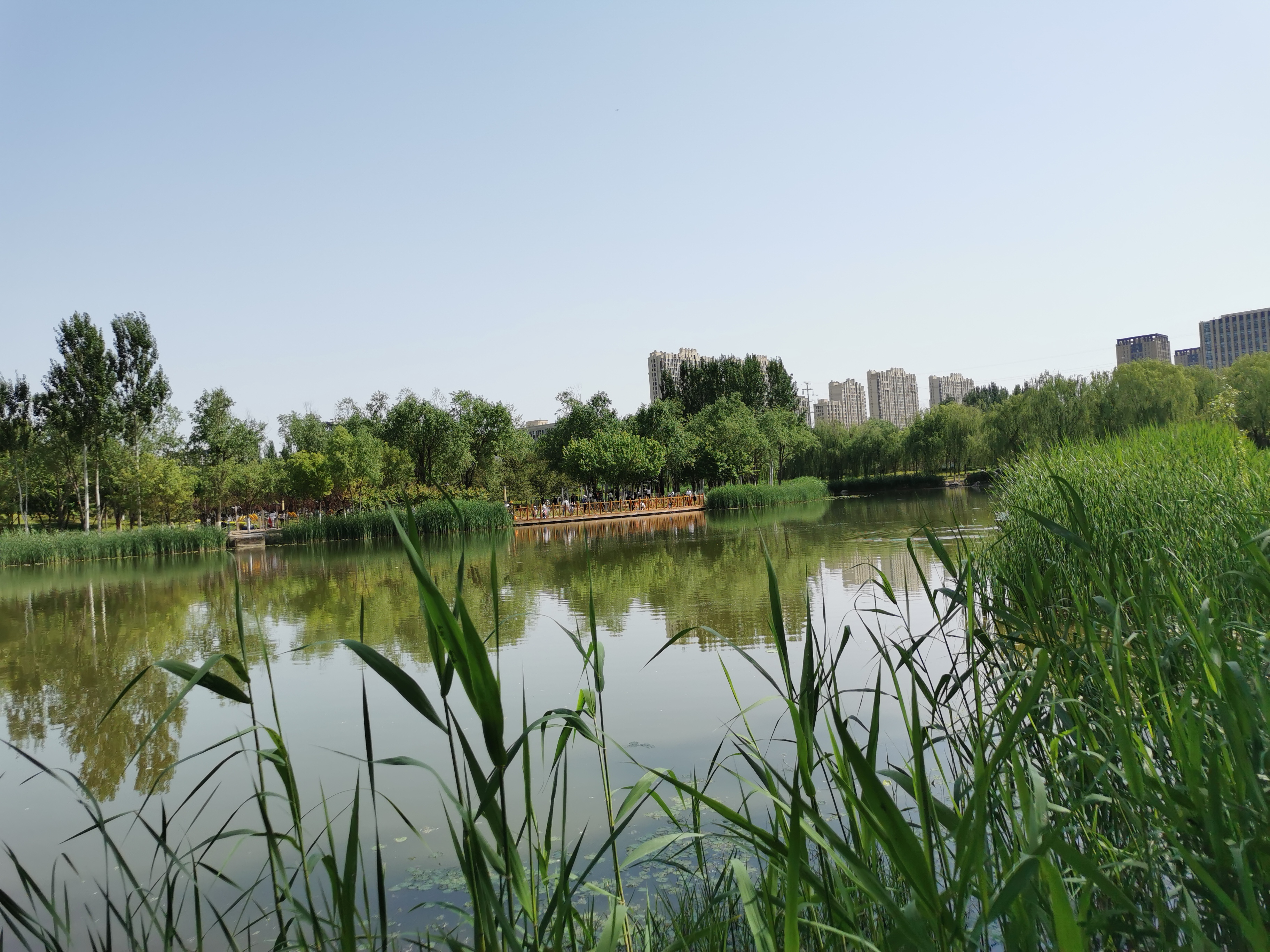 廊坊市丹凤公园风光美