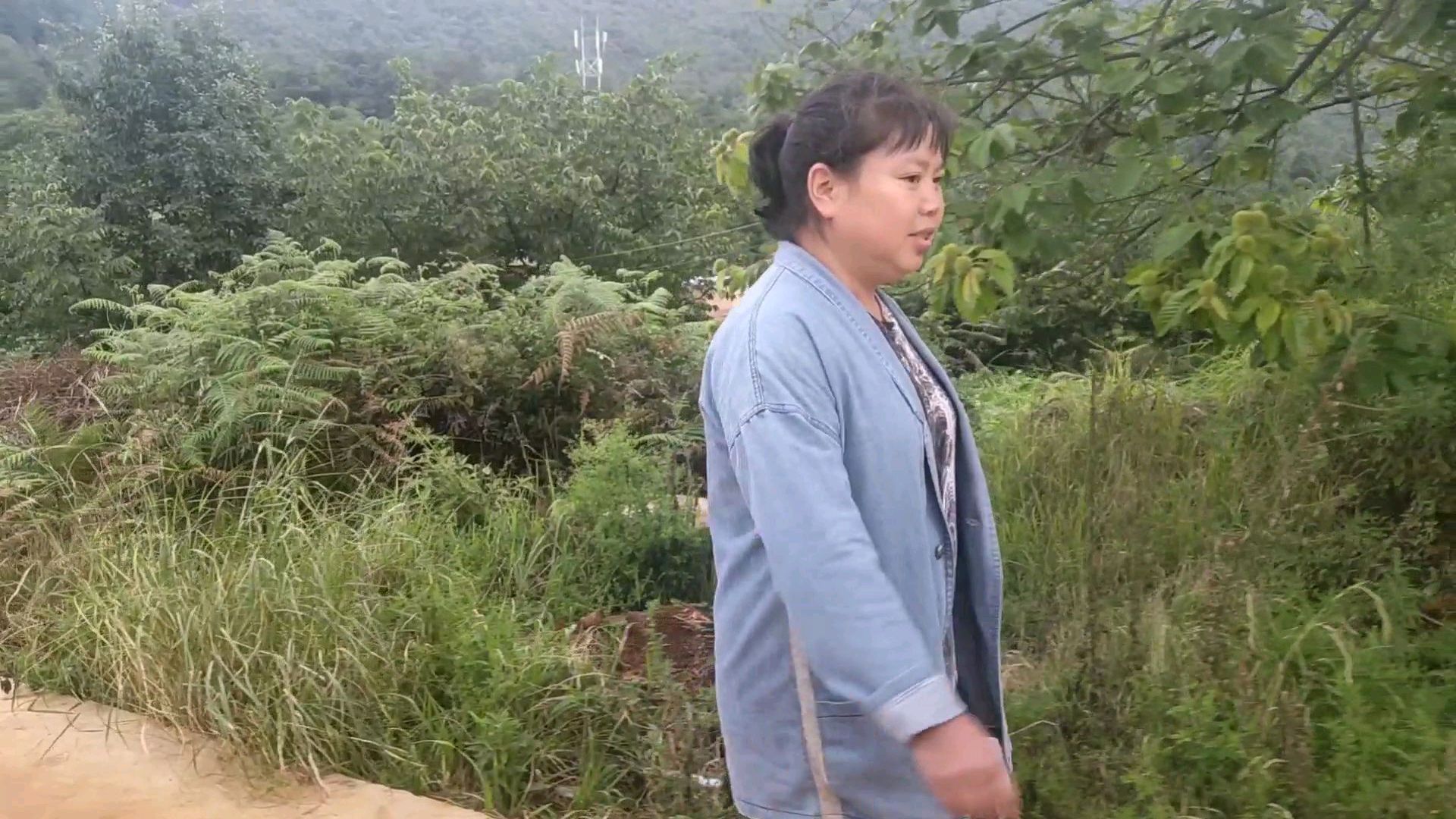 今天去我大哥家,留我们吃完饭才让走,煮了一锅当归叶子