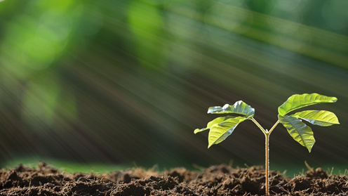 保持健康,享受生活