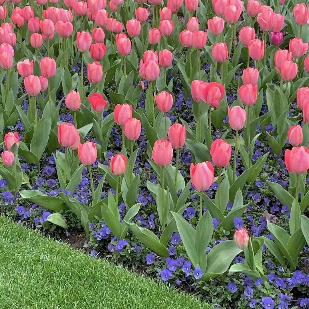 怎么把微视收藏的图片水印