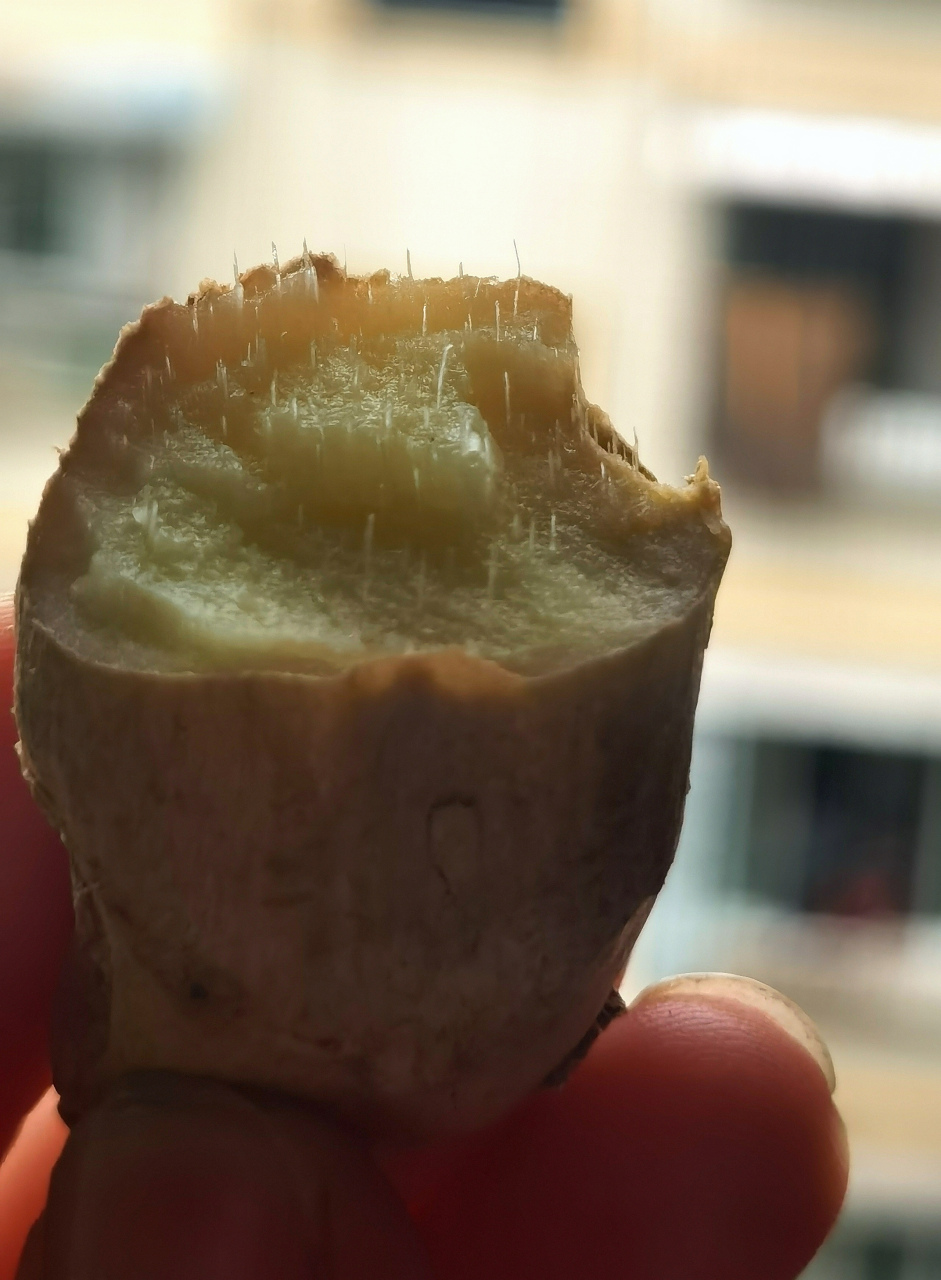 这就是生姜生发的原本意思吧