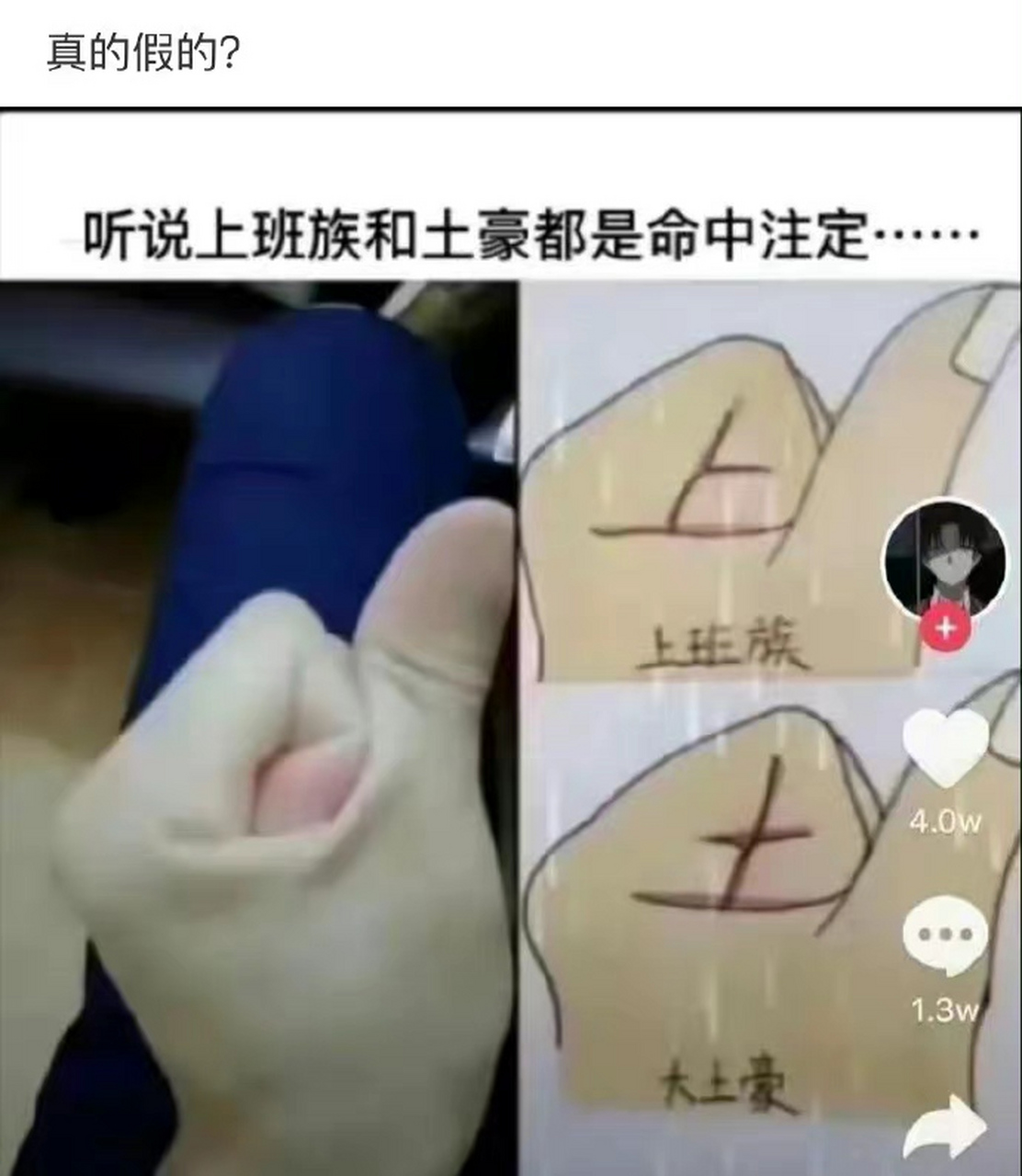 上班族和土豪族都是命中注定