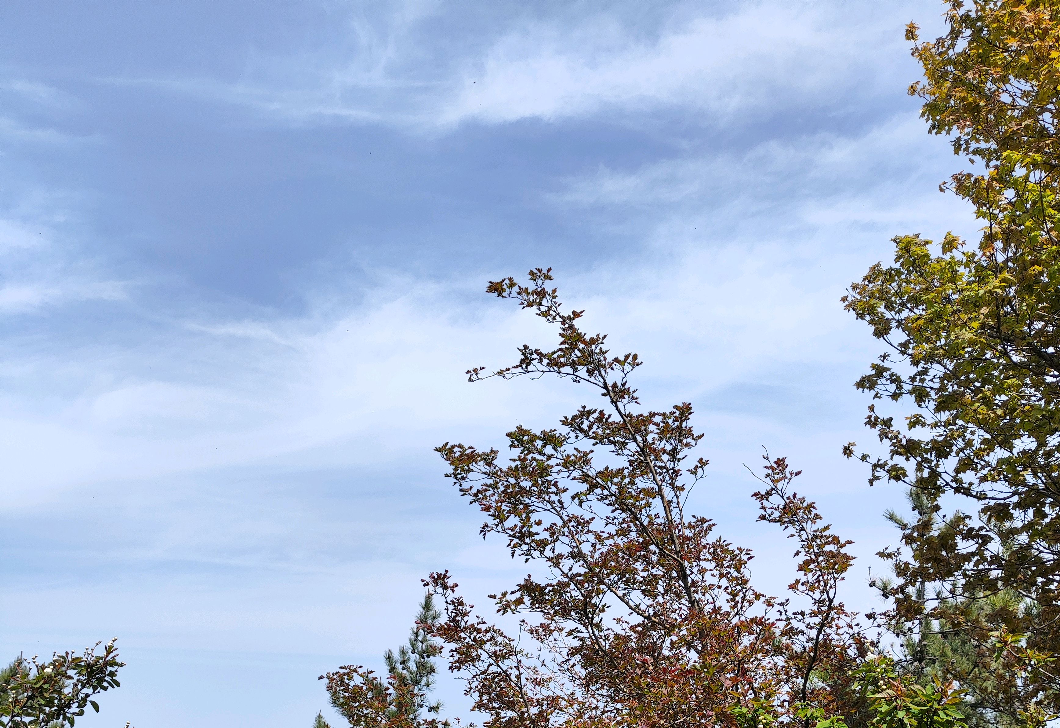 「二元次语」0018-0019癸卯四月