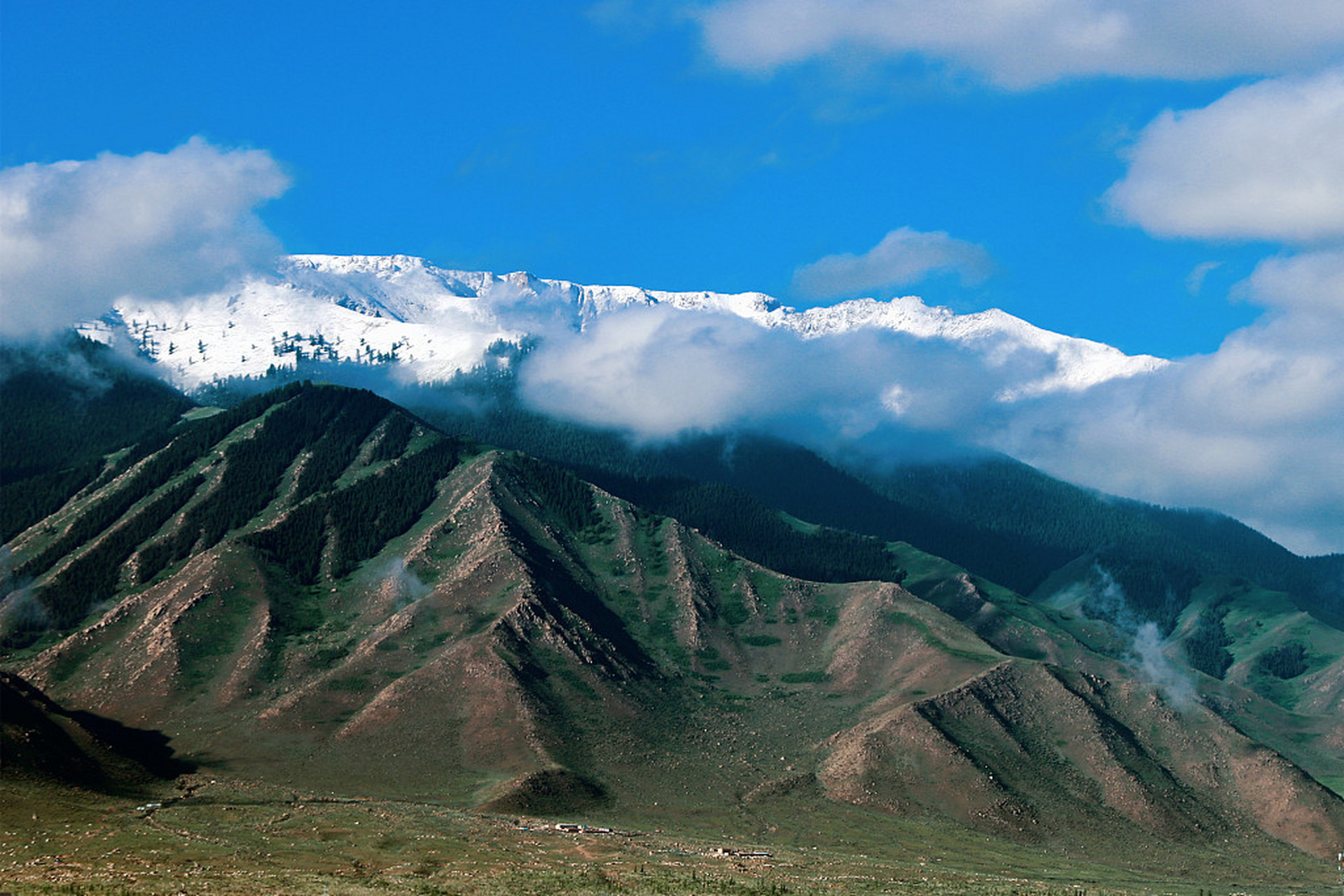 巴里坤草原是新疆的第二大草原,极目远望,草原与天山,云雾构成了一幅