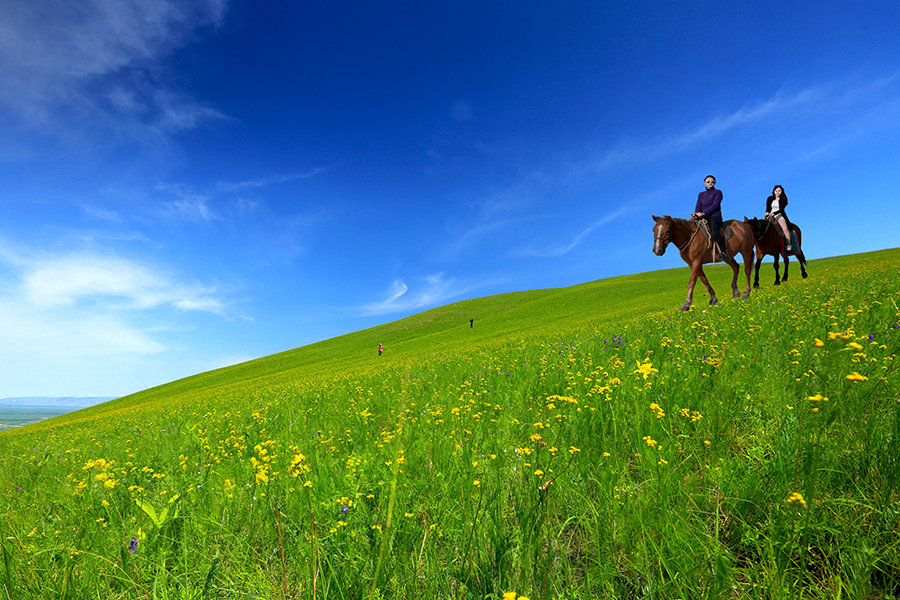 《广阔无垠的草原》