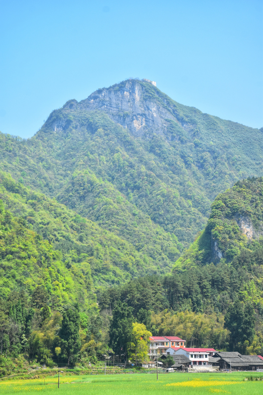 沅陵县筲箕湾镇用坪乡金华山 山顶上的建筑是金华寺.