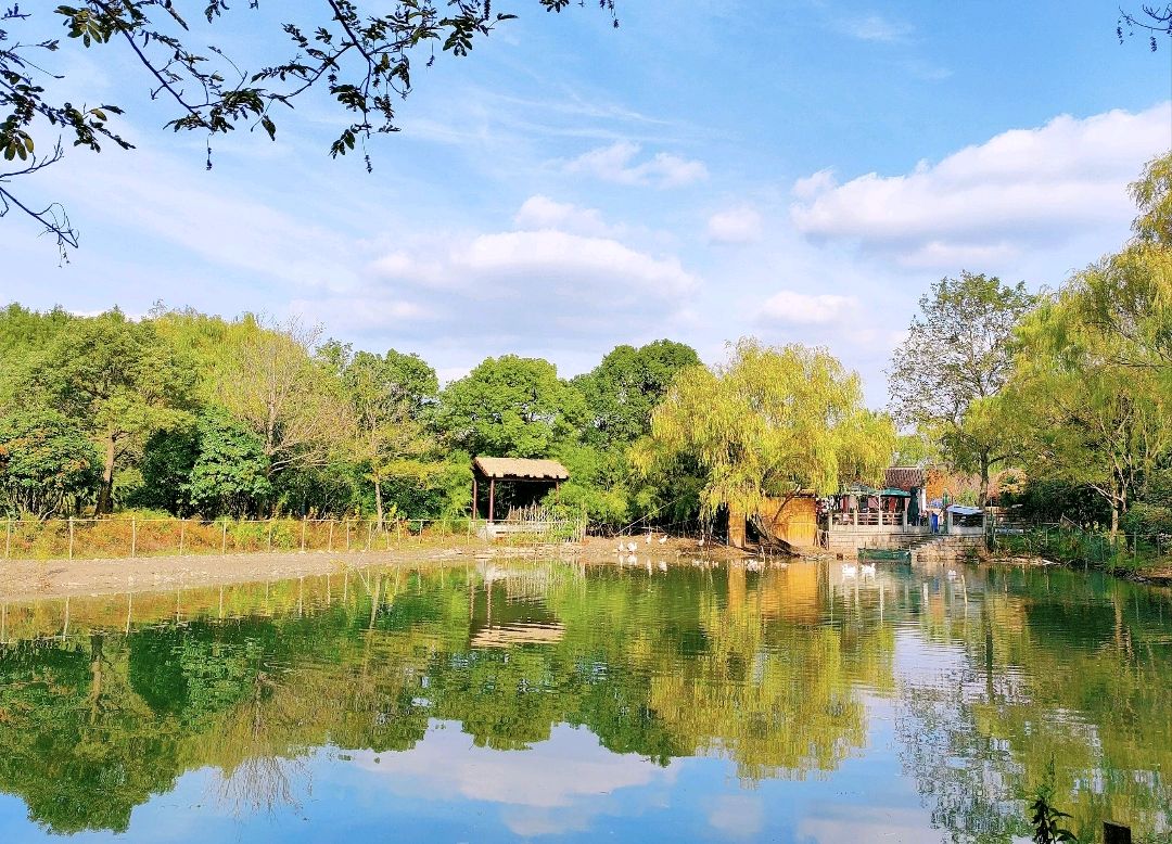 苏州.虎丘湿地公园