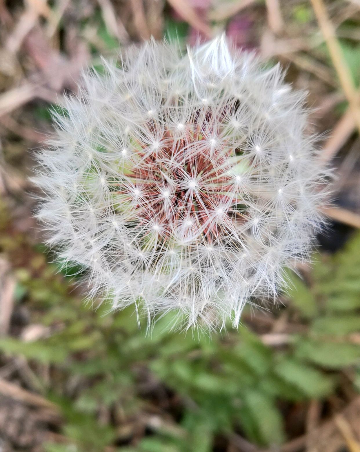 大自然!朴素的美!