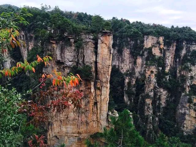 张家界神堂湾崖底怪声不断!2012年,科考队绳降650米寻找真相