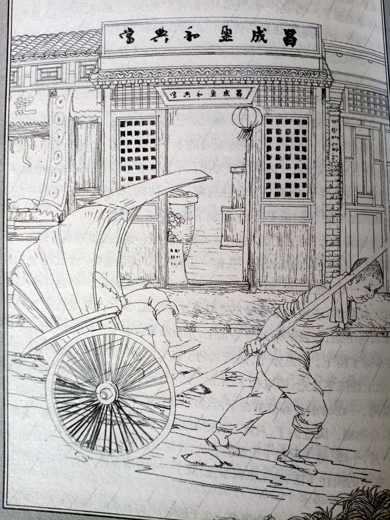 读《骆驼祥子》