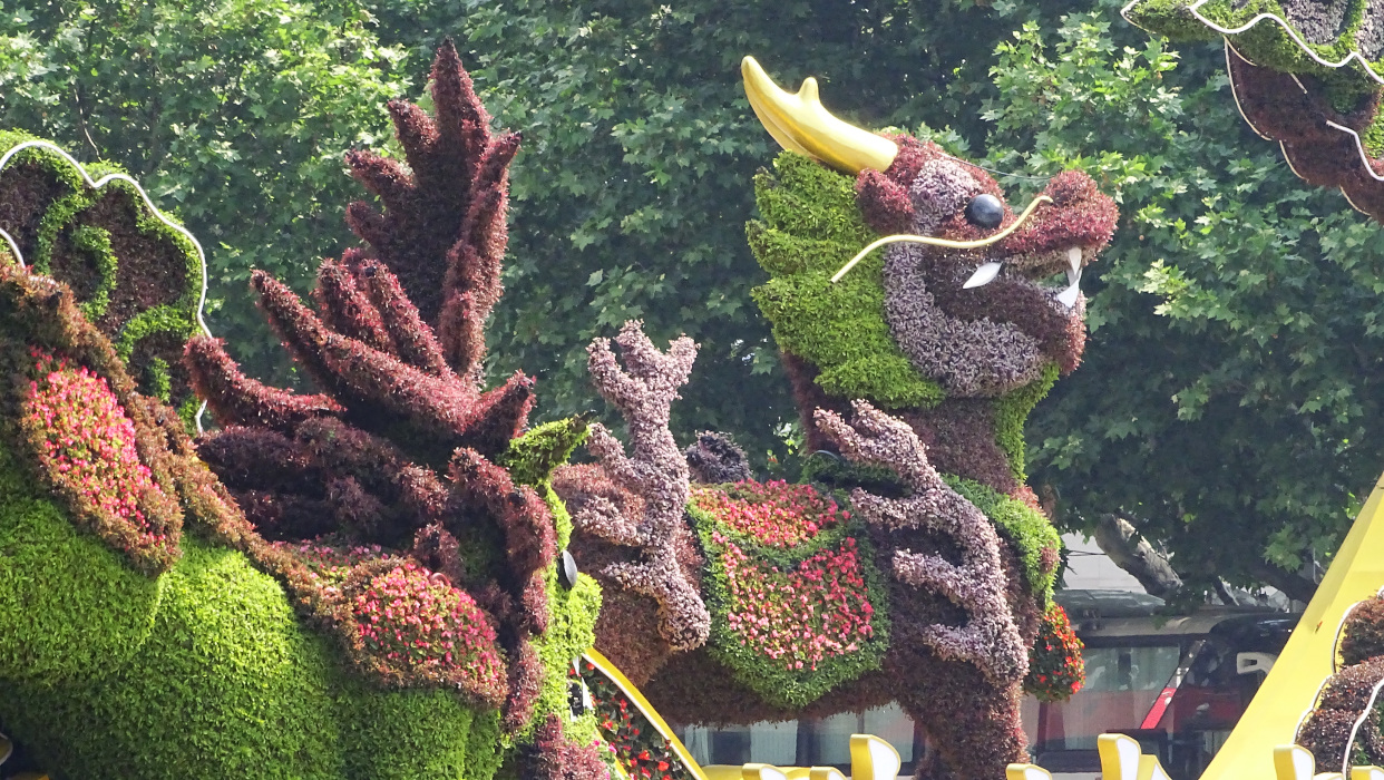 《麒麟蕨瑞庆千祥》曲靖麒麟花园全新地标性立体绿雕建成