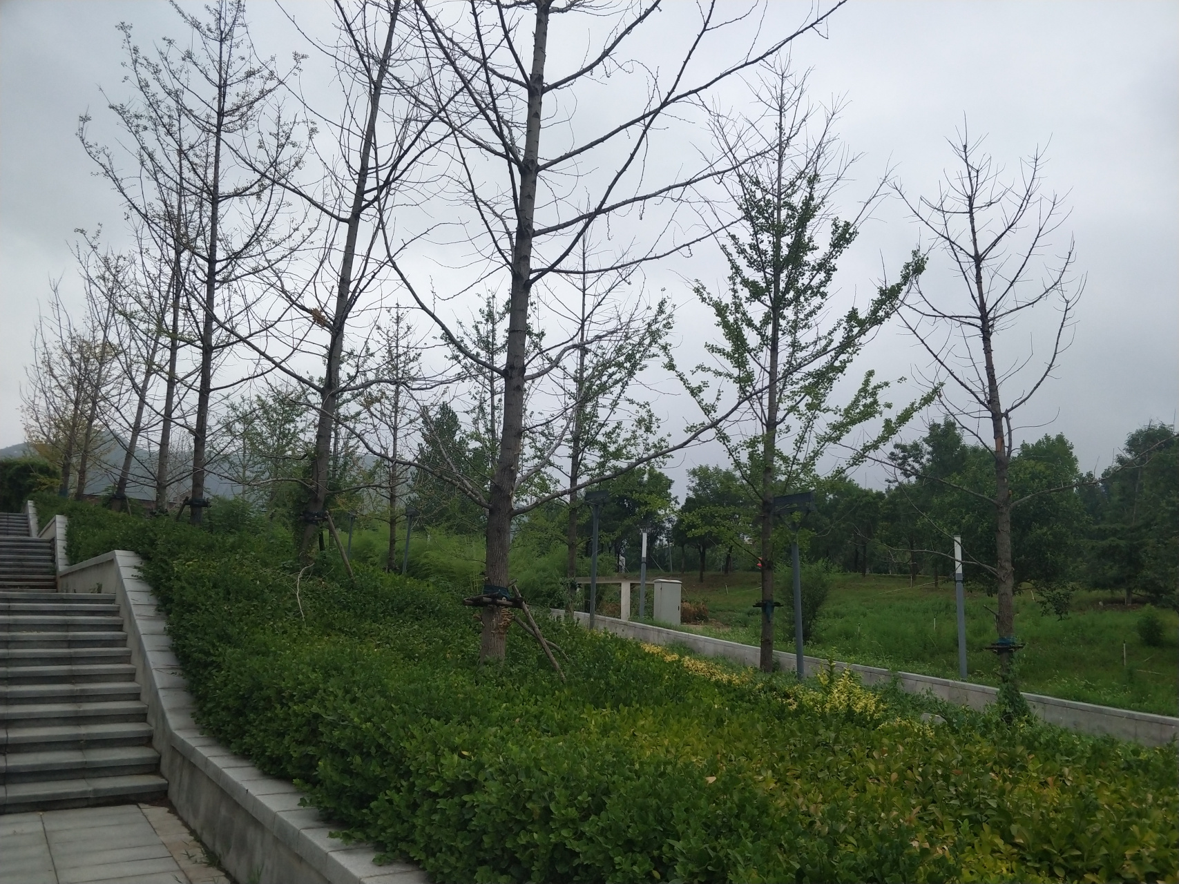 《山雾》 作者:孙圣杰 云雾盘山巅, 青山遮白云.