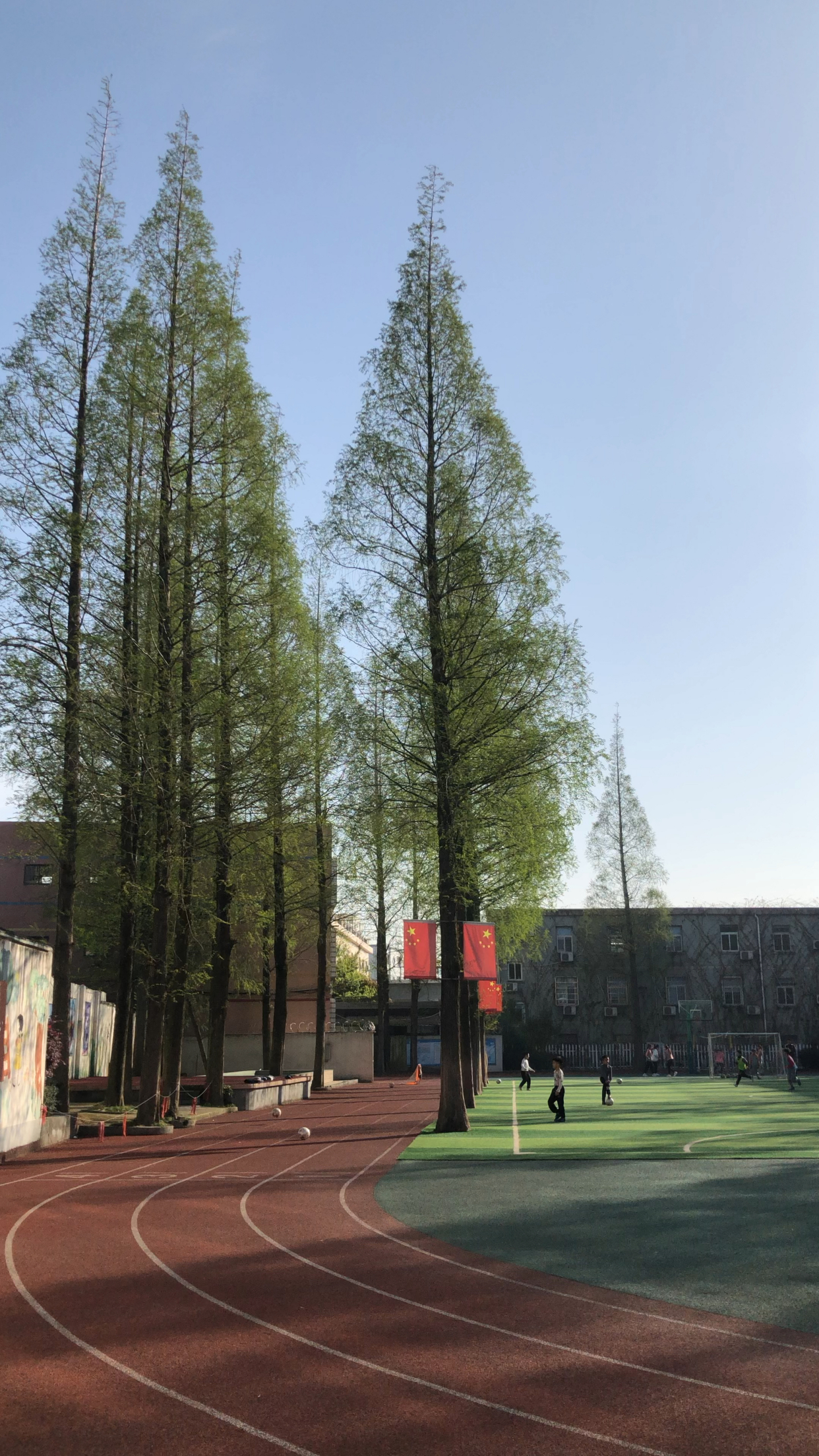 20220405柴桥小学校园春色