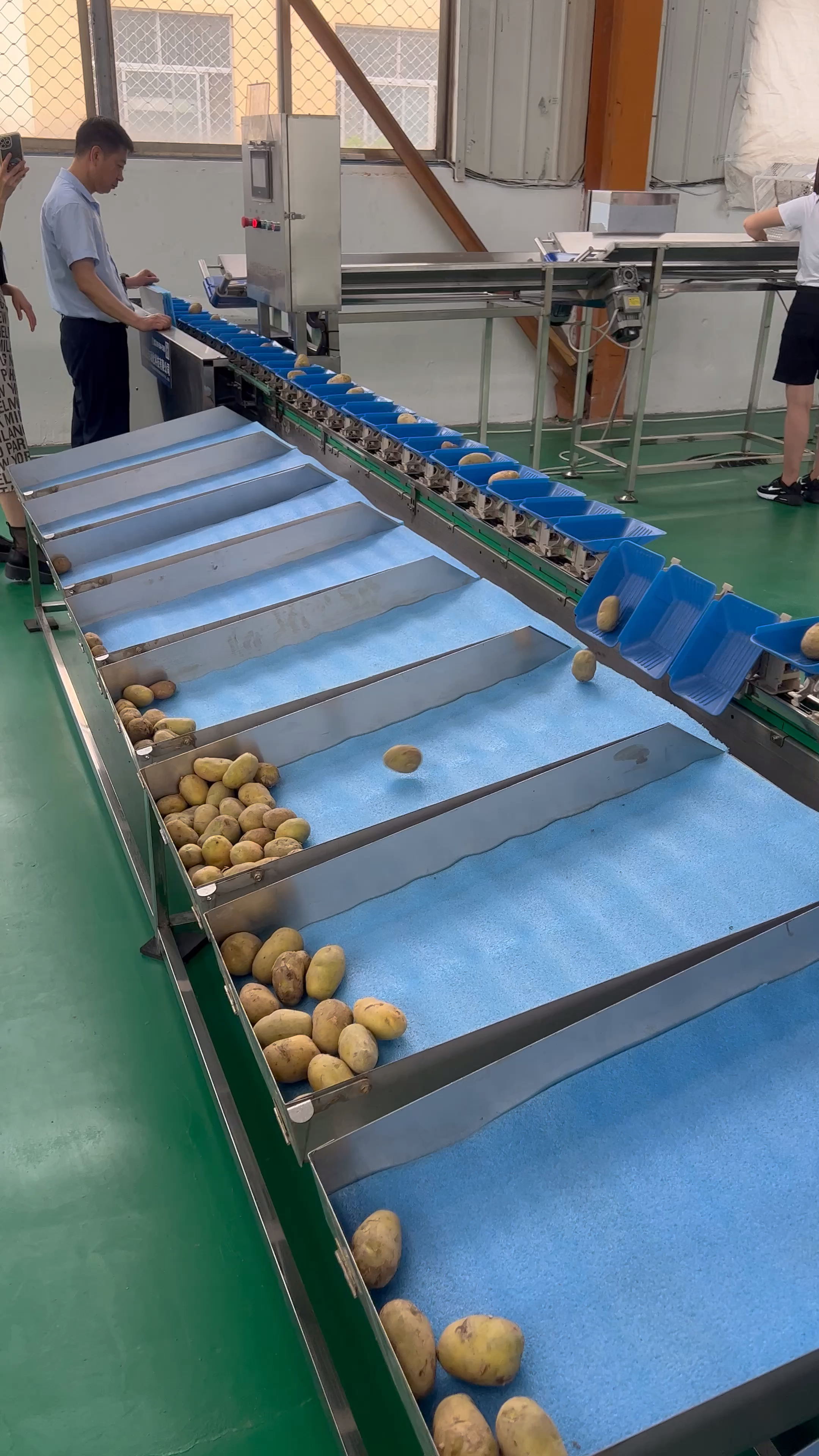 土豆电脑分选机土豆大小分级机电脑选果机料盒分级机