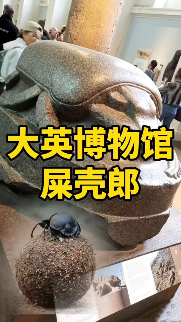 大英博物馆,古埃及圣甲虫,实际就是我们所说的屎壳郎-度小视