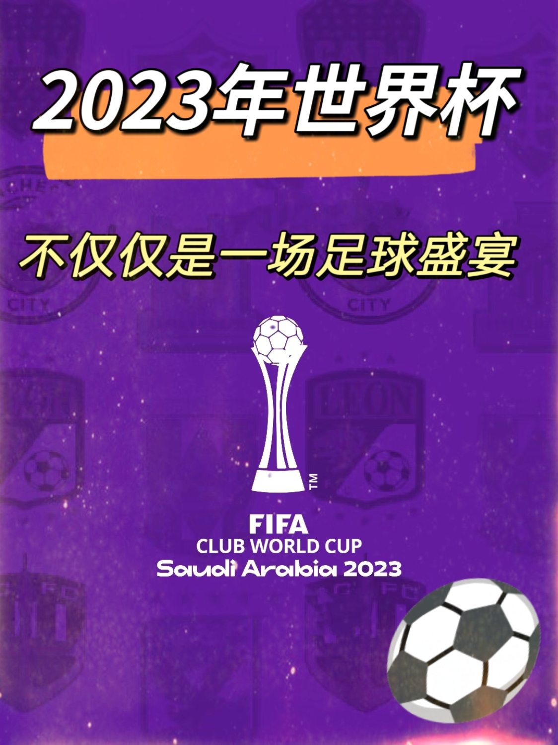年世界杯 全球盛宴 与体育精相关图片3