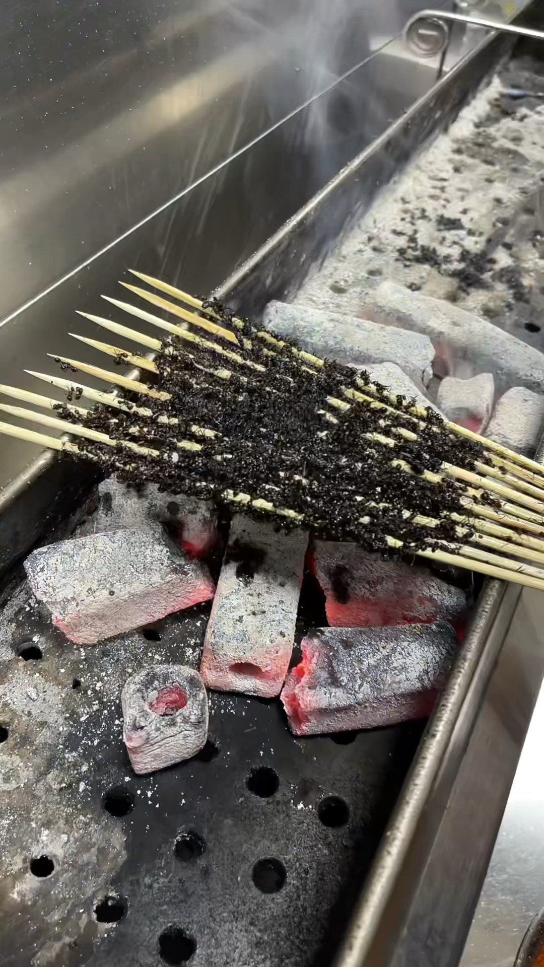 烧烤教程烤蚂蚁