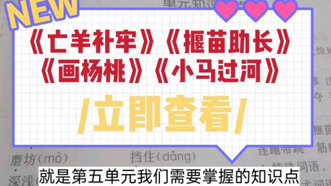 [图]二年级语文下册第五单元考试重点整理，期末考试前快来复习一下吧