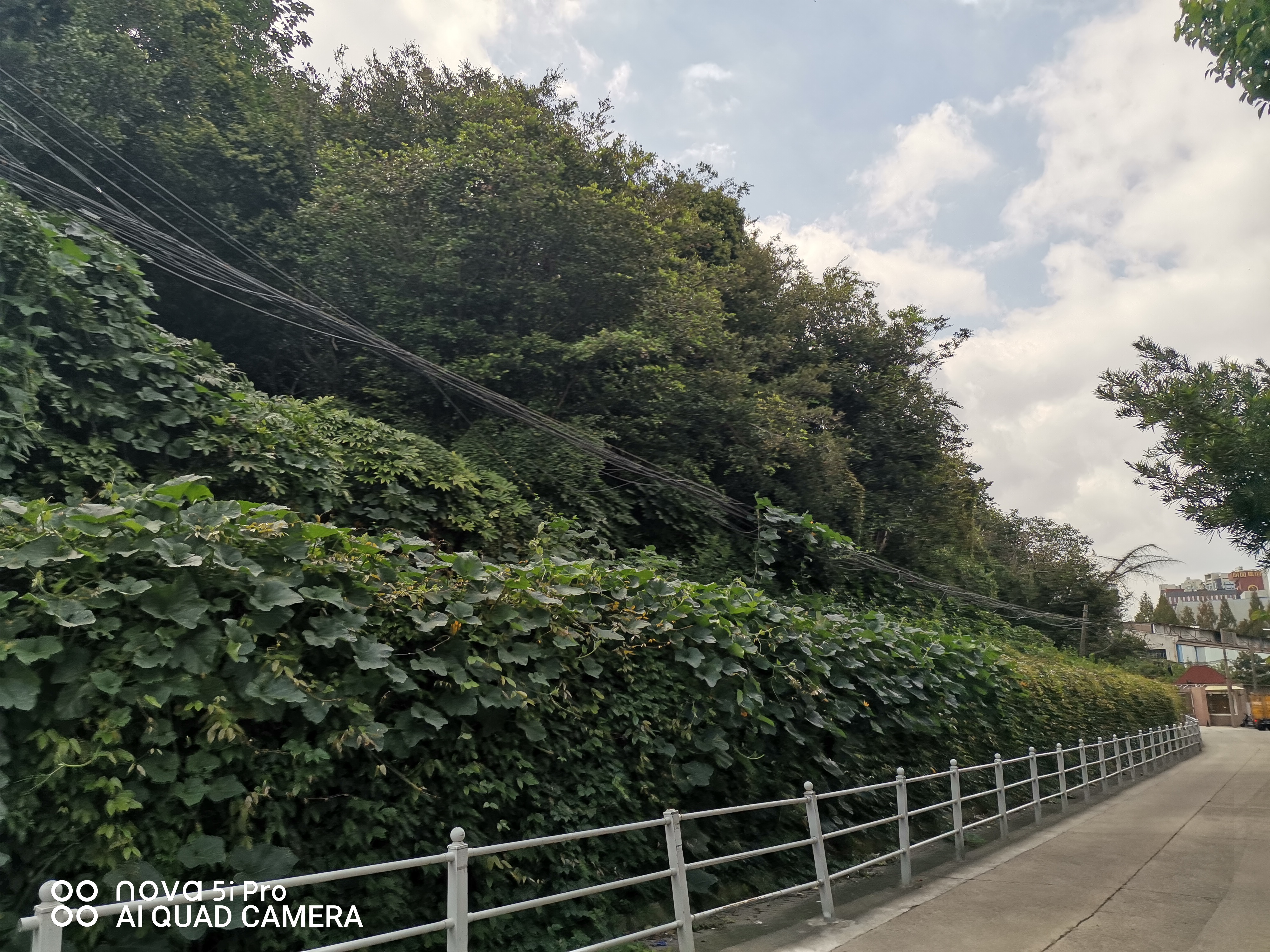 曾经的刑场——靶子山