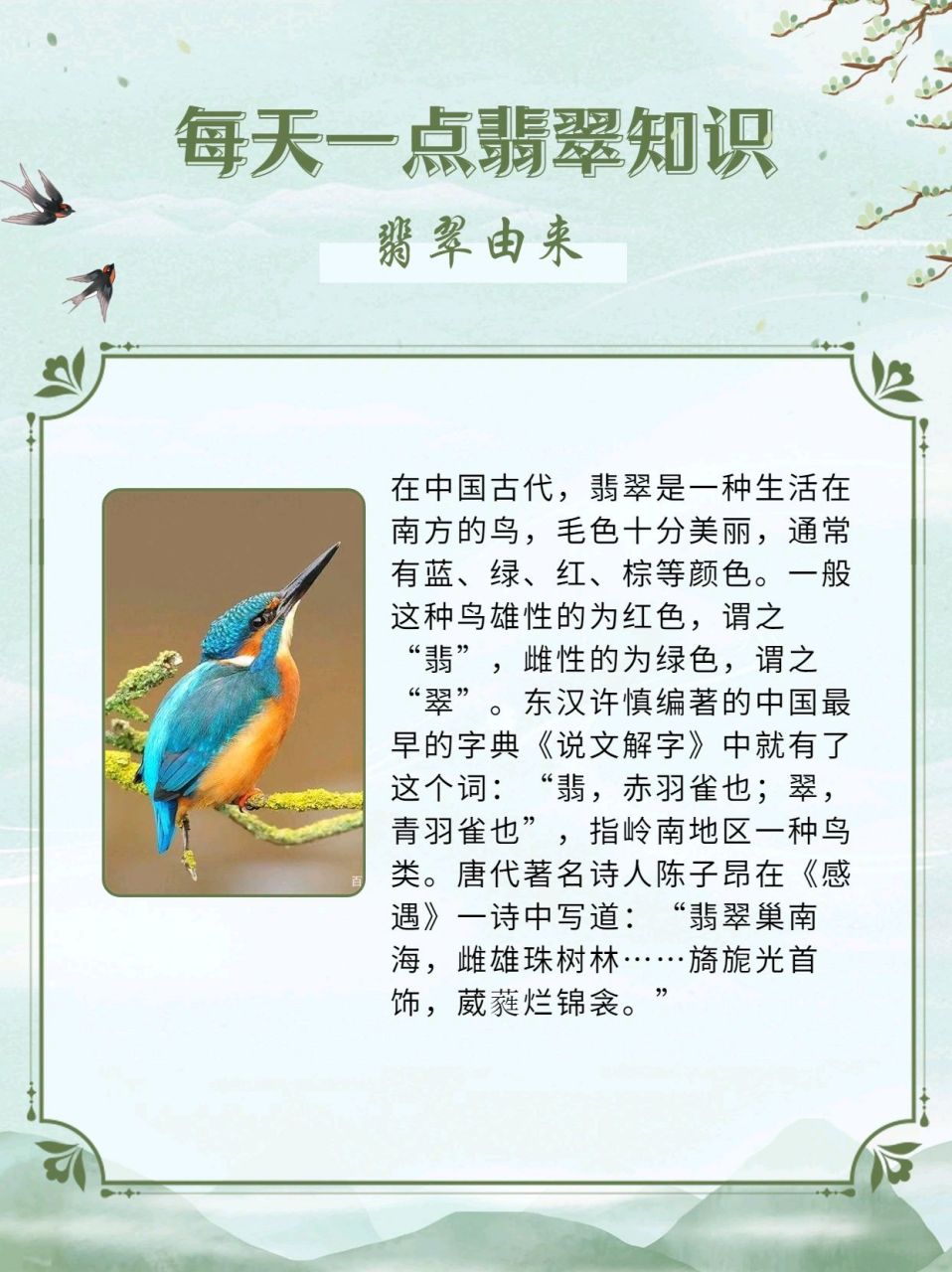 翡翠起什么名字好(有创意的翡翠名字大全) 第2张