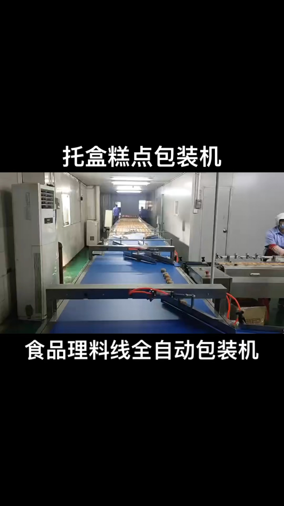 食品理料线全自动包装机托盒糕点包装机袋装面包包装机