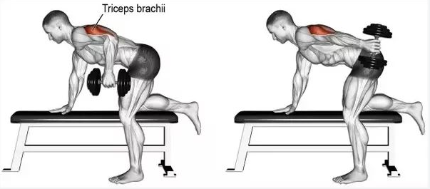 哑铃练肱三头肌动作图片
