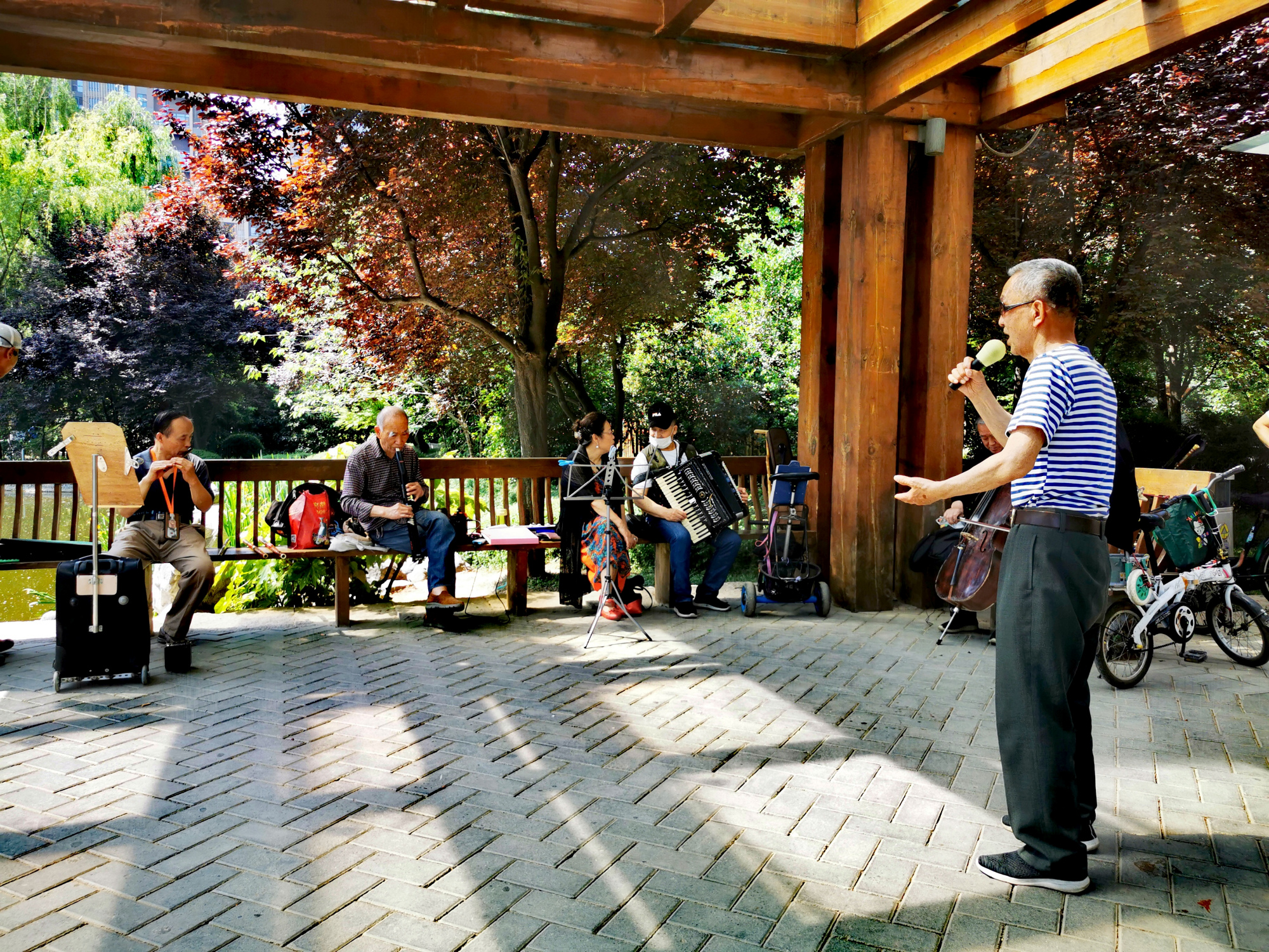 西安市高新区木塔寺公园,一群喜欢唱歌的老人