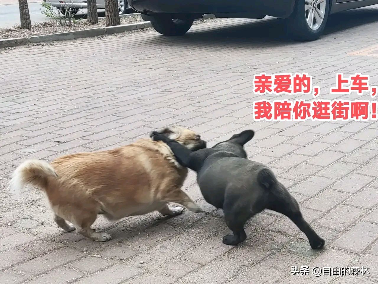 baijiahao.baidu.com