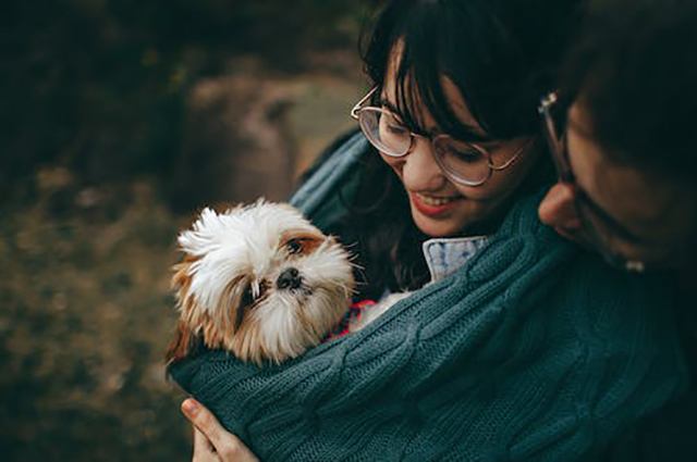 口袋妖怪蓝宝石（口袋妖怪蓝宝石金手指代码大全）