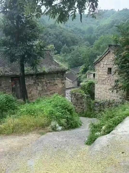 今天来到了河南省辉县市拍石头乡牛圈村