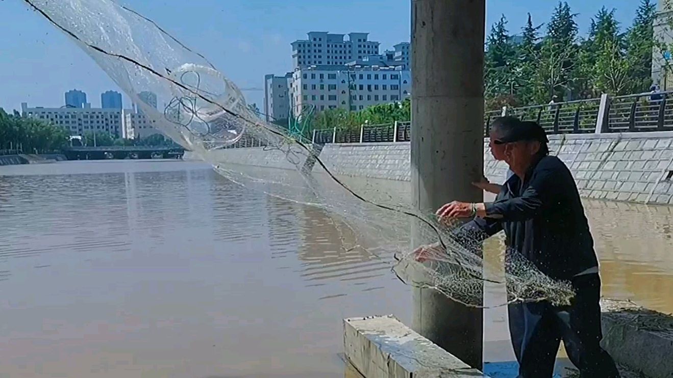 大雨过后撒网捕大鱼,龙虾、大黑鱼网网有鱼获,惊喜不断