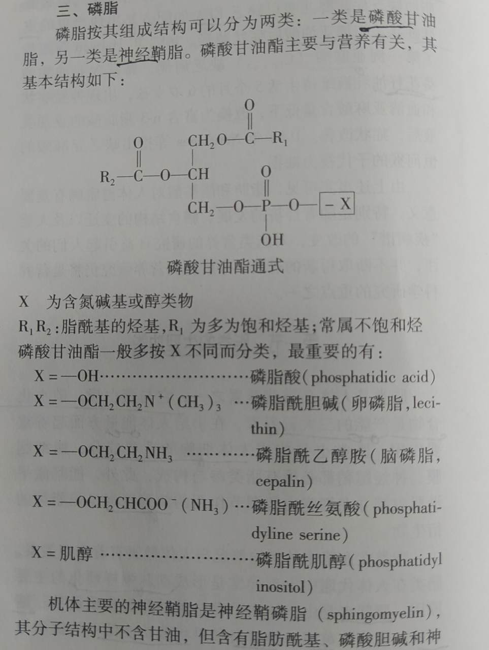 硬脂酸甘油酯分子式图片