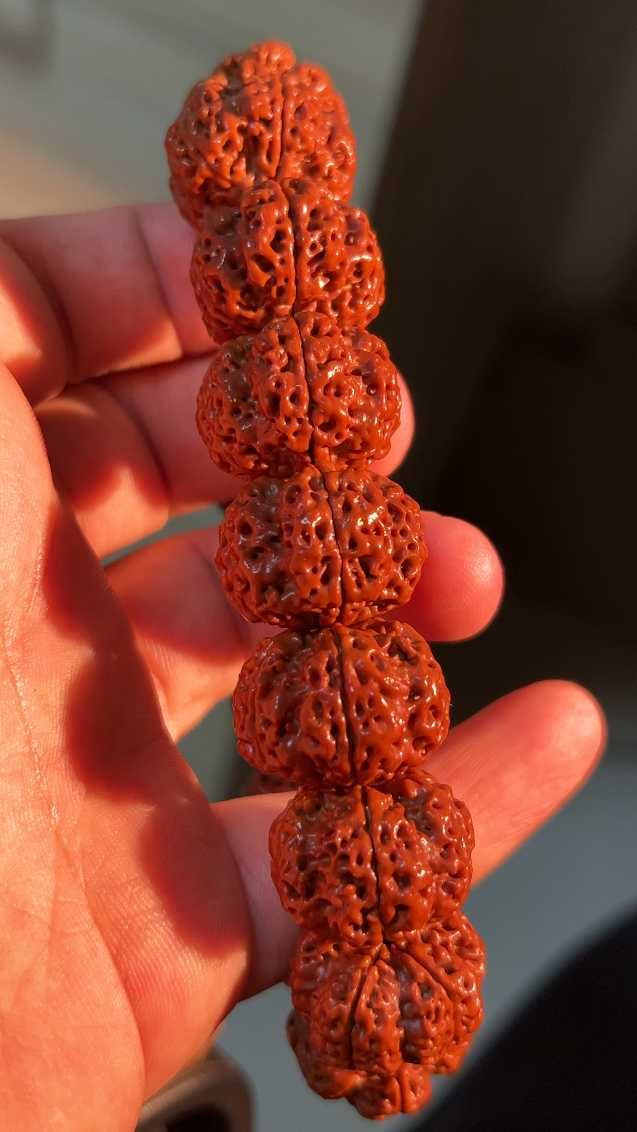 纯干刷的金刚菩提,包浆油润!-度小视