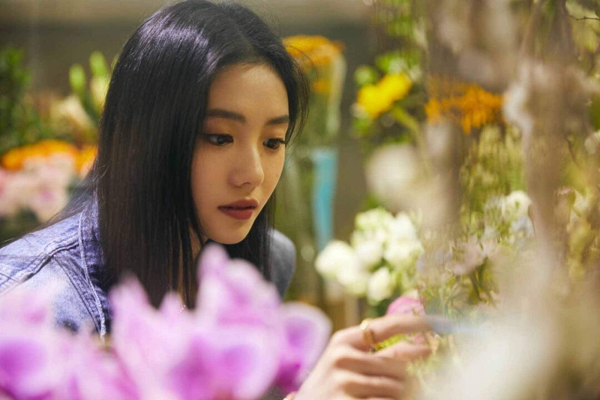 送你一朵小红花,还记得刘浩存那一朵小花么?