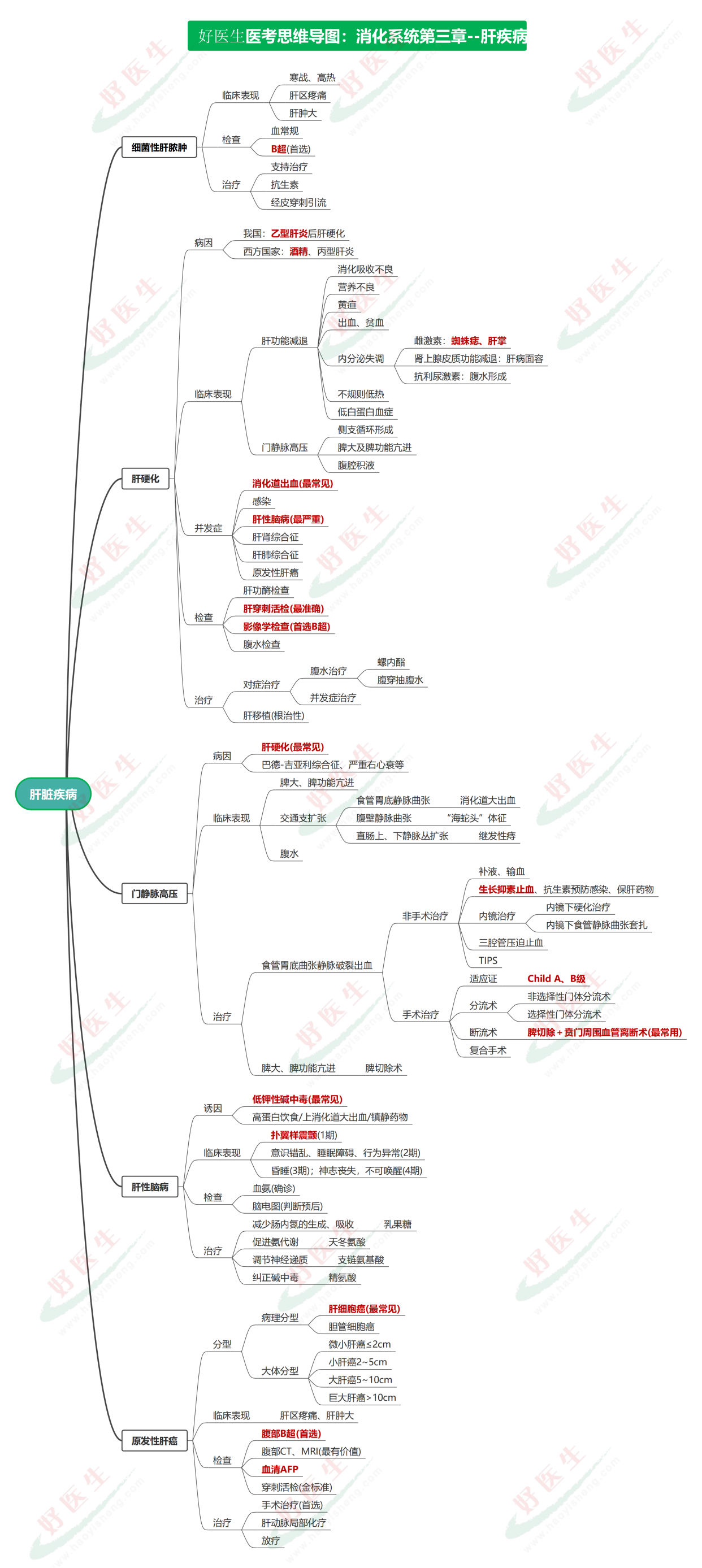 「思维导图」消化系统考点速记-肝脏疾病