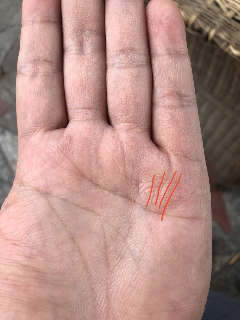 手掌纹清晰——钱财纹  一个女人的钱财纹路越清晰,那么就可以说明他