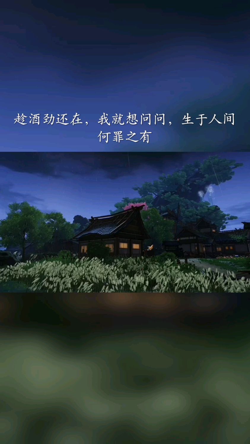 趁酒劲还在,我就想问问,生于人间,何罪之有