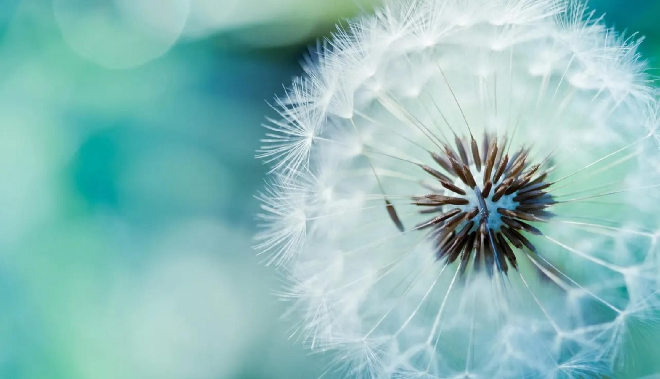很多人会有一个思维,越穷越没能力的人,会越谦卑,越低调,越好相处.