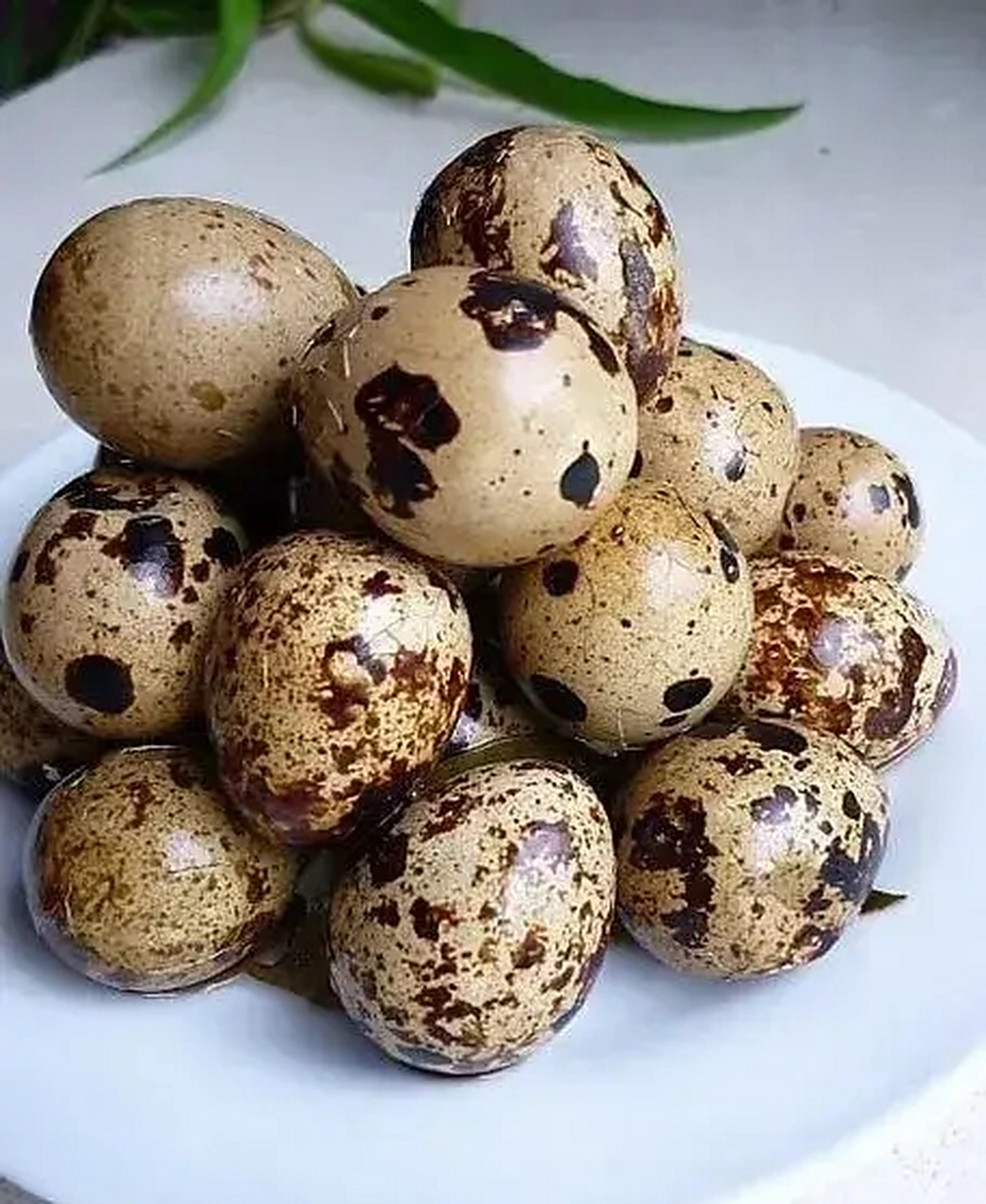 我活了31年,之前一直以为这个东西叫安全蛋04,刚才在网上是搜索安全