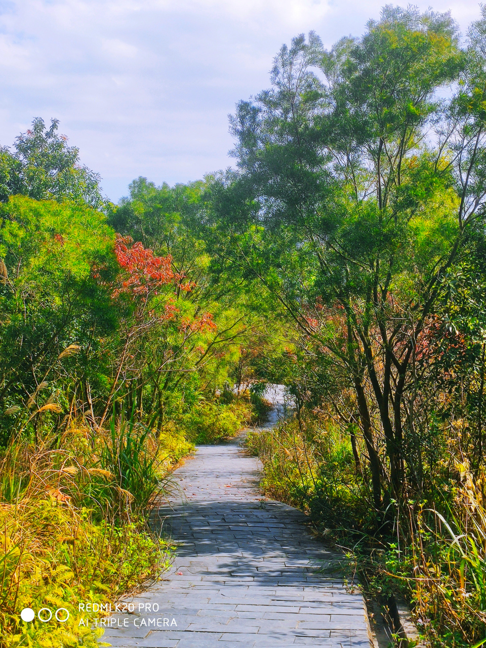 普宁莲花山公园,是个休闲的好地方.
