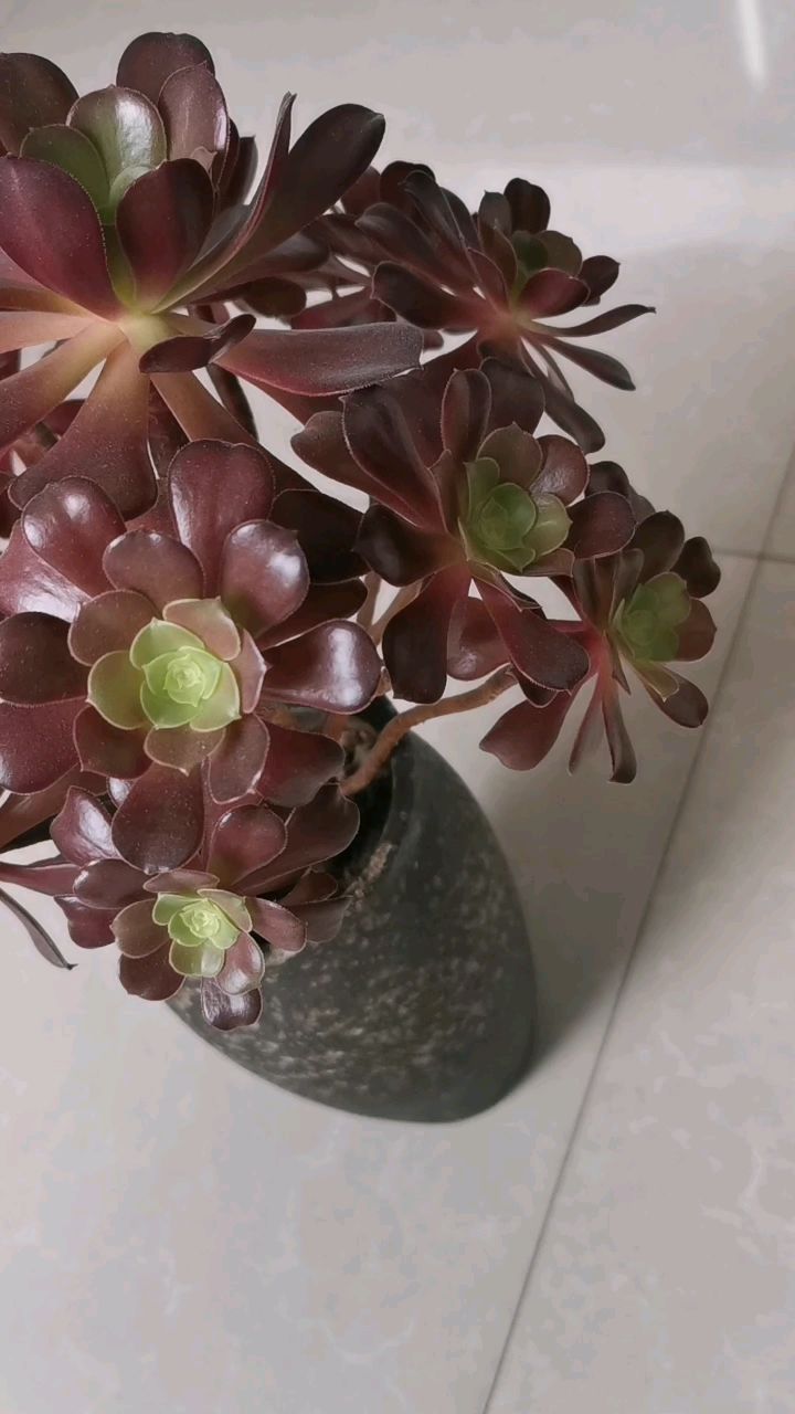 一年中最好状态的墨法师