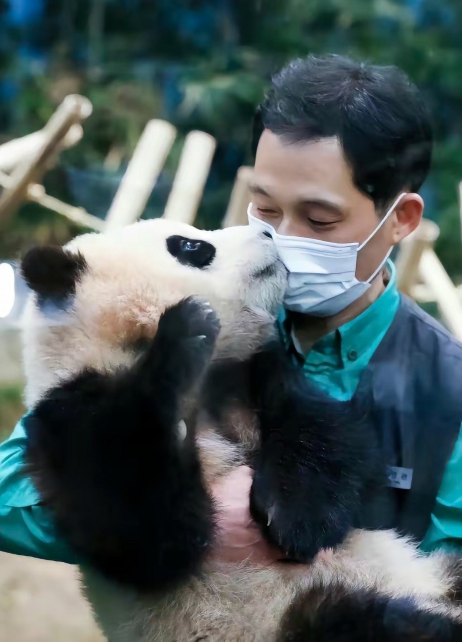 宋永宽,福宝的宋侍卫,会魔法的爷爷.