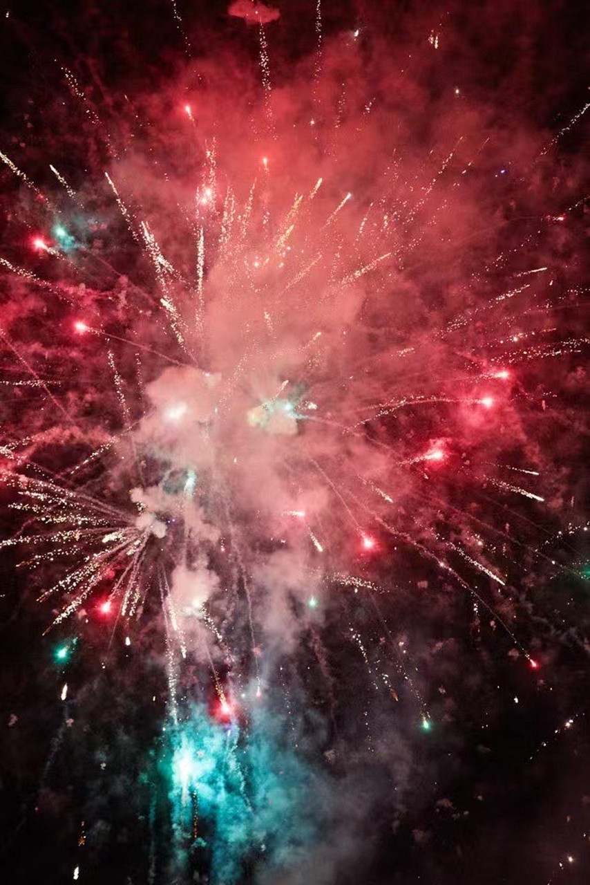 2021万象更新,旧疾当愈,长安常安.73