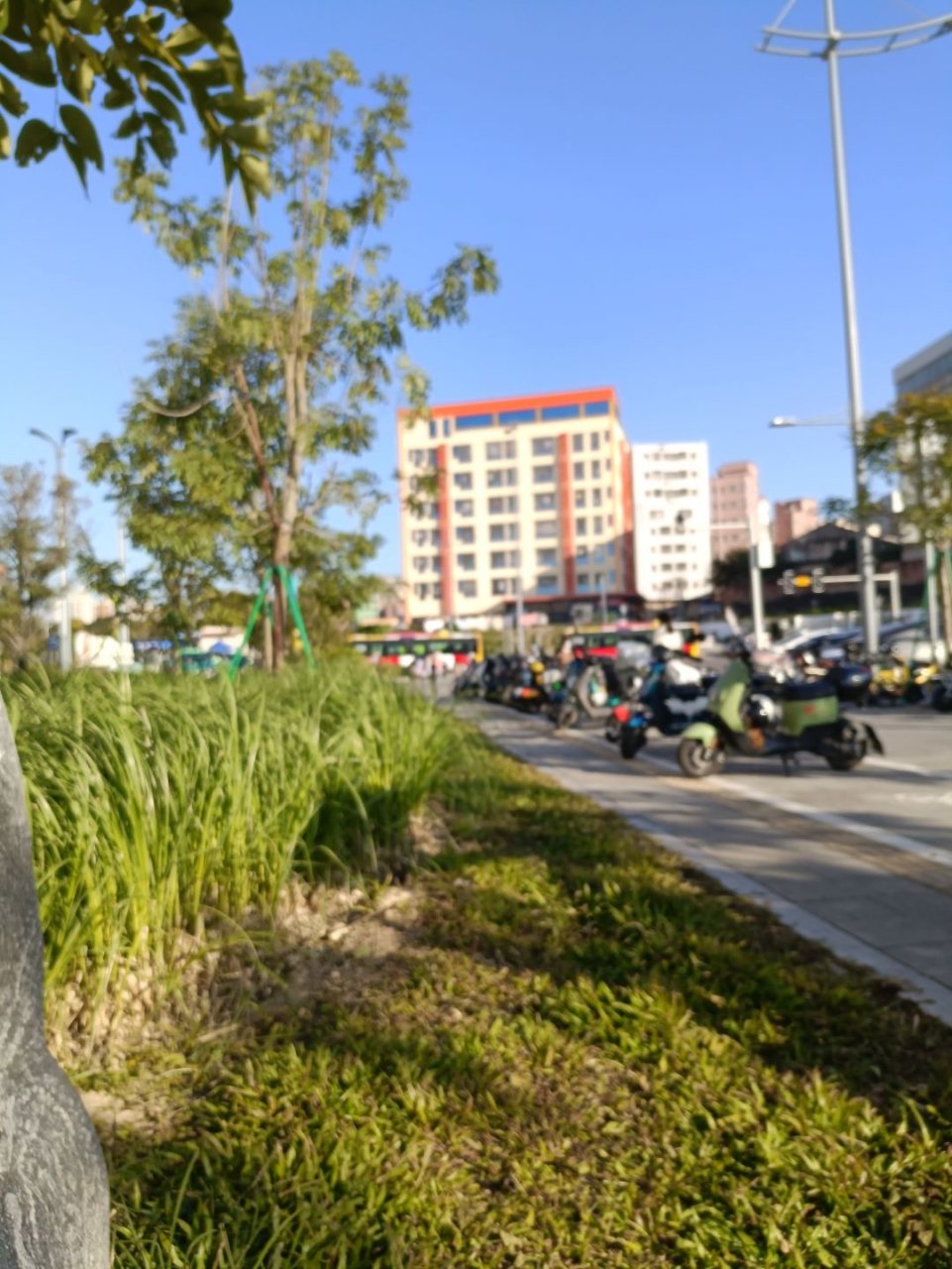 这是近视300度的世界