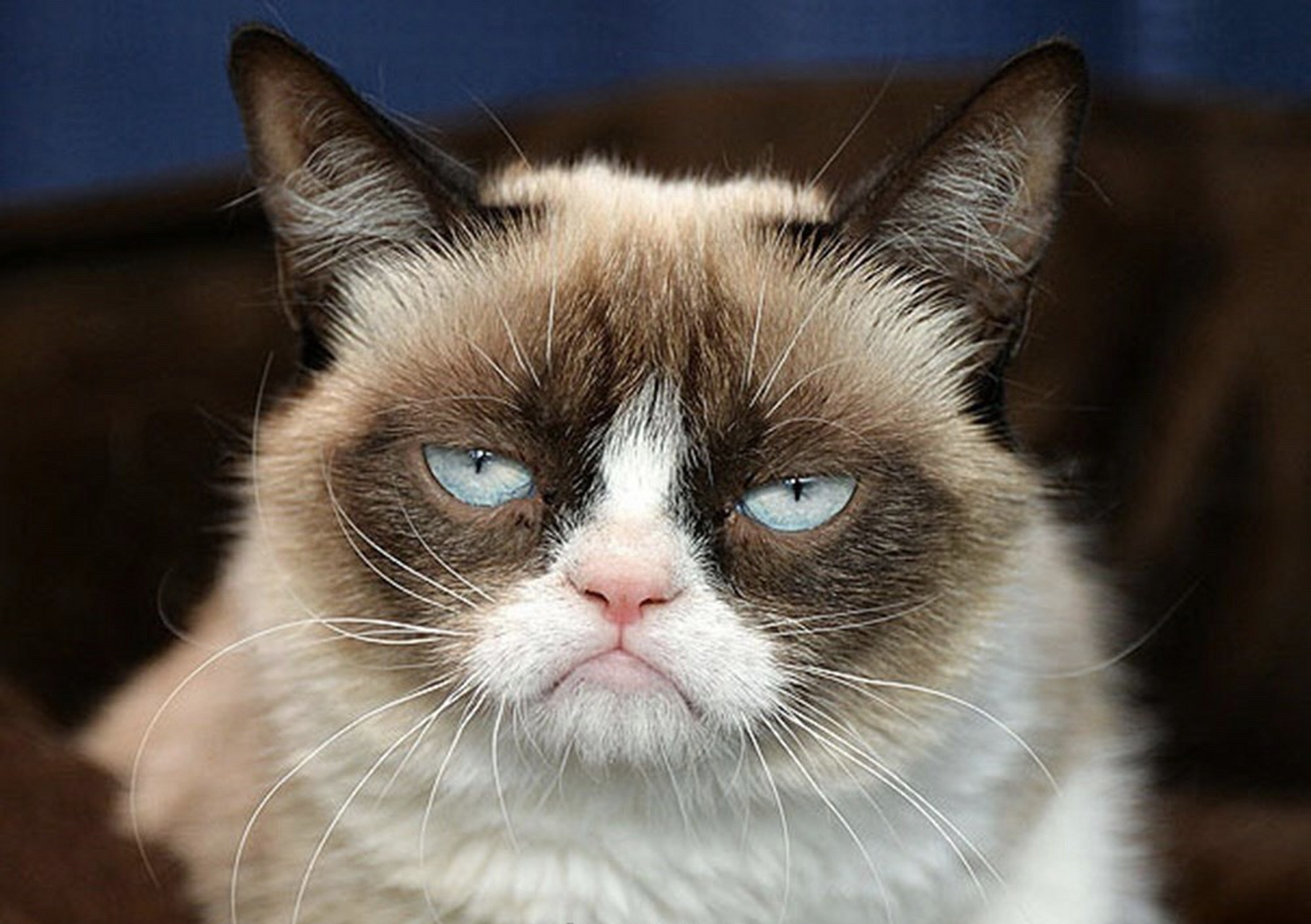 天生臭脸综合征(resting bitch face),指人在放松,休息的情况下,脸部